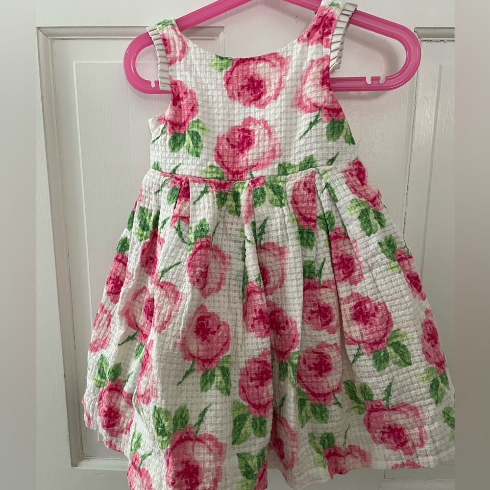 2T Janie and Jack rose party dress